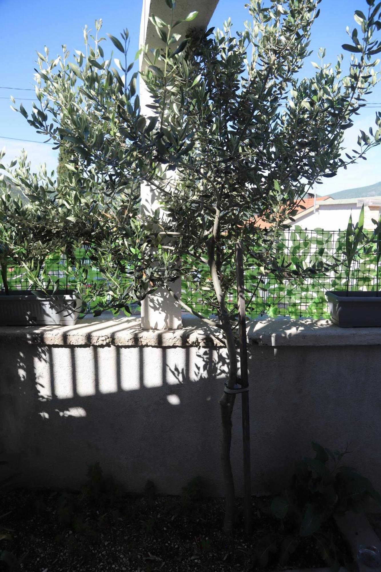 Apartman Hadze Mostar Bagian luar foto